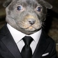 Коррадо Шухевич