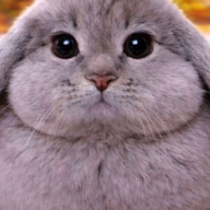 Леонід Куча