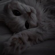 Вадим Діловій