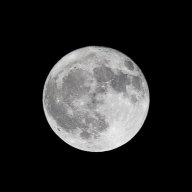 Владислав Волкодав